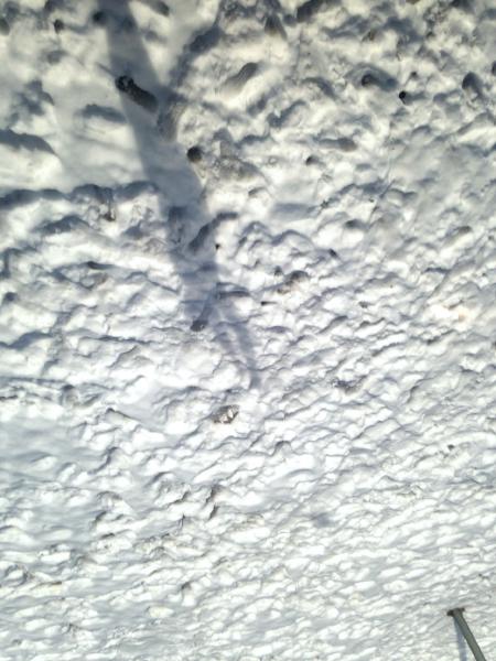 Camera for Capturing a Moment of Weightlessness