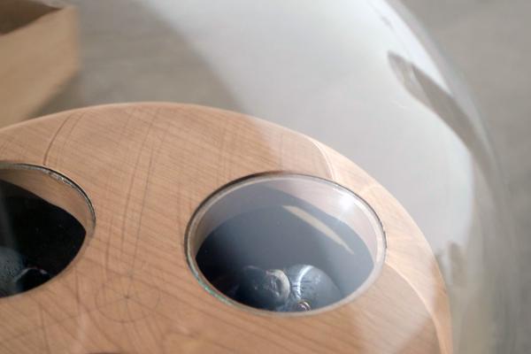 Conditioned Response