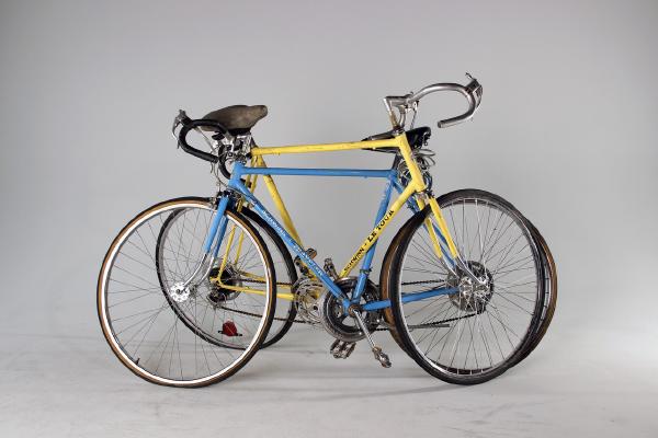 Schwinn Embrace